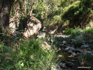 ldaia del Drago19-07-2015 09-16-31